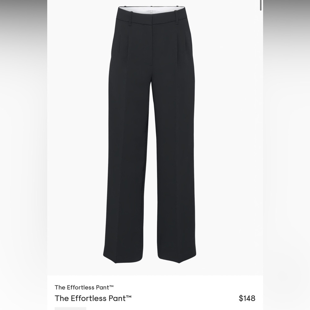 Aritzia Charcoal Tailored Trousers